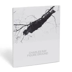 Online Charles Ray: Figure Ground Exhibition Catalogues
