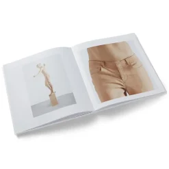 Online Charles Ray: Figure Ground Exhibition Catalogues