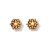 Clearance French Amor Stud Earrings Earrings