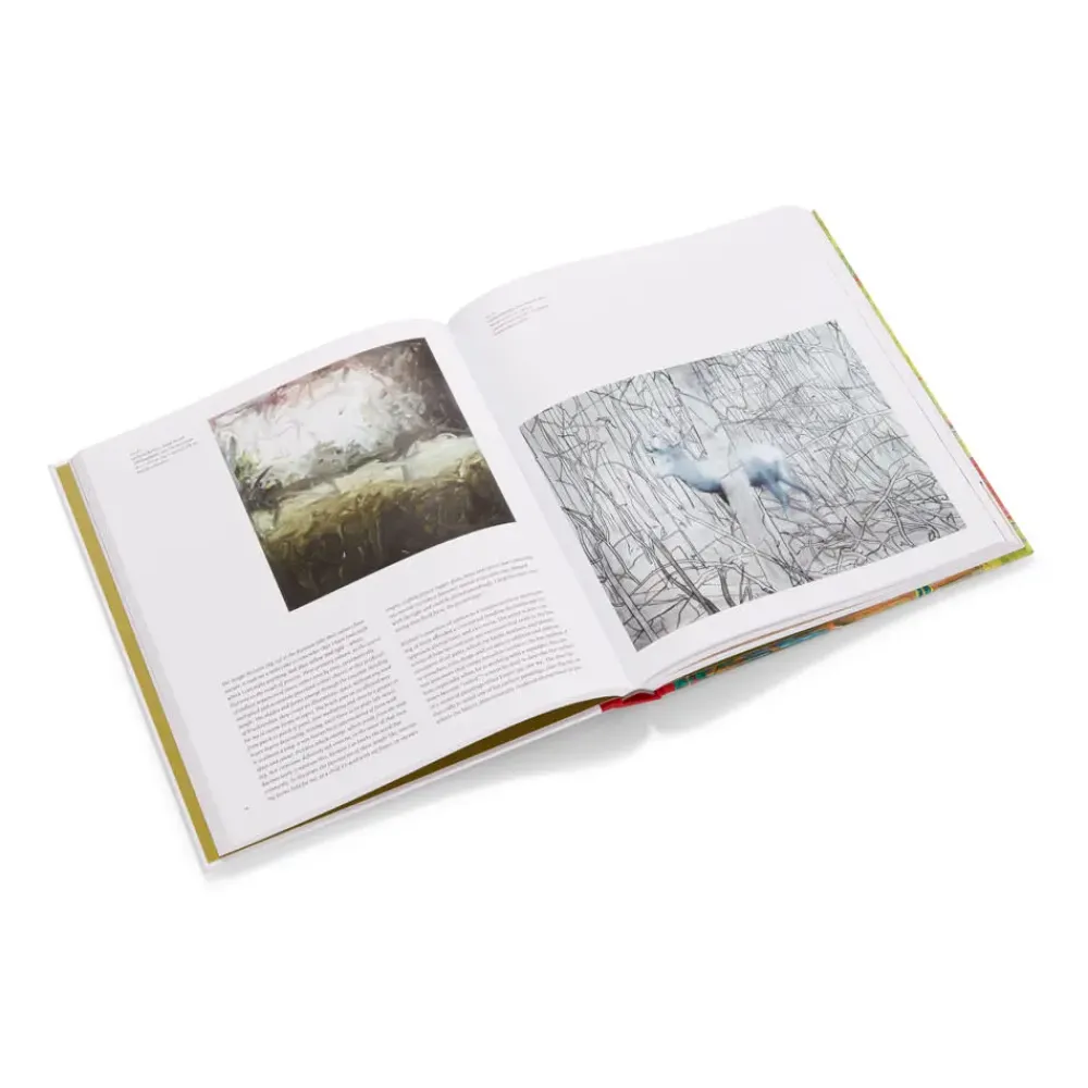 Discount Gerhard Richter: Painting After All Exhibition Catalogues