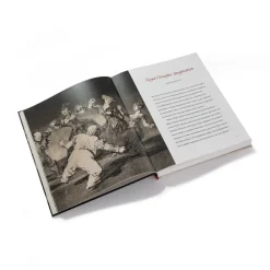 Outlet Goya'S Graphic Imagination Exhibition Catalogues