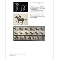 Fashion How To Read Chinese Paintings Met Publications