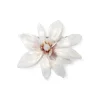 Clearance Magnolia Brooch Pins & Brooches