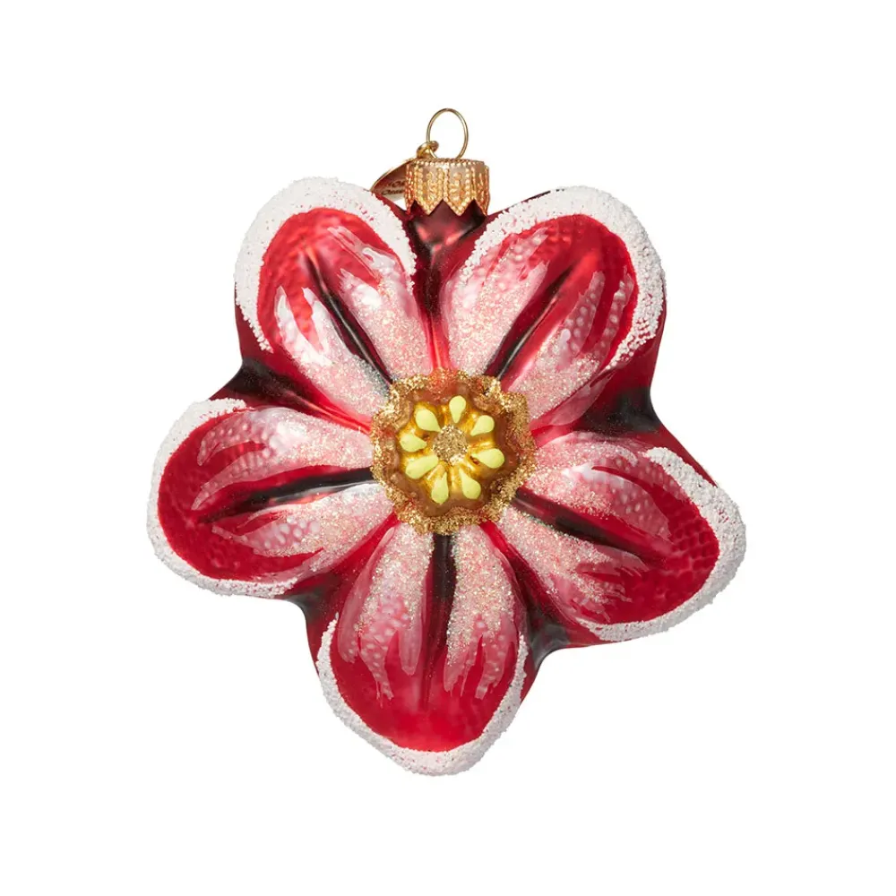 Online Red Poinsettia Glass Ornament Ornaments