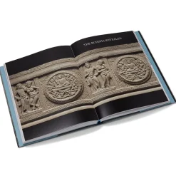 Sale Tree & Serpent: Early Buddhist Art In India Exhibition Catalogues